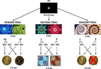 Cortical and Striatal Reward Processing in Parkinson’s Disease Psychosis